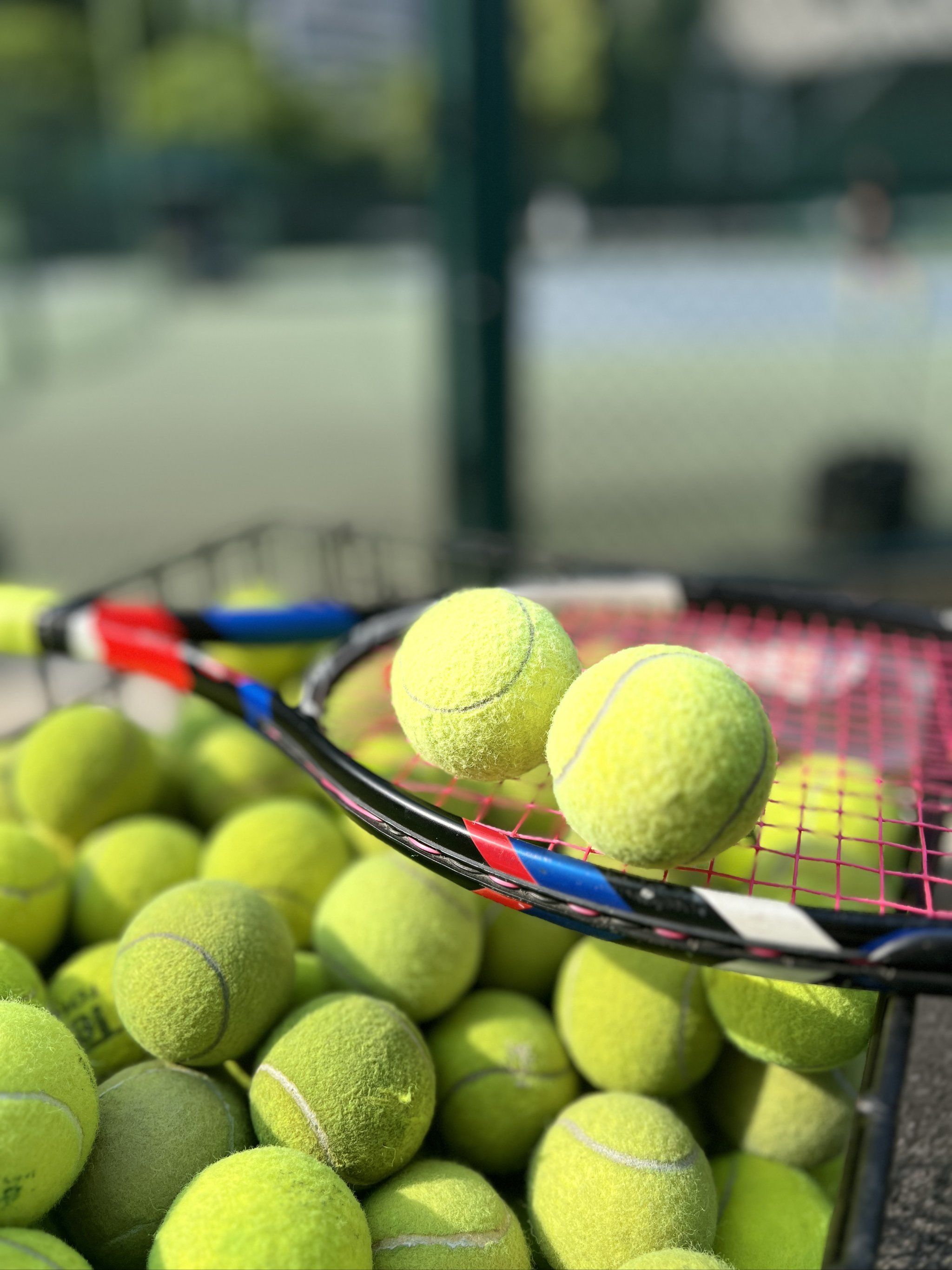 犯规与罚球 犯规与罚球