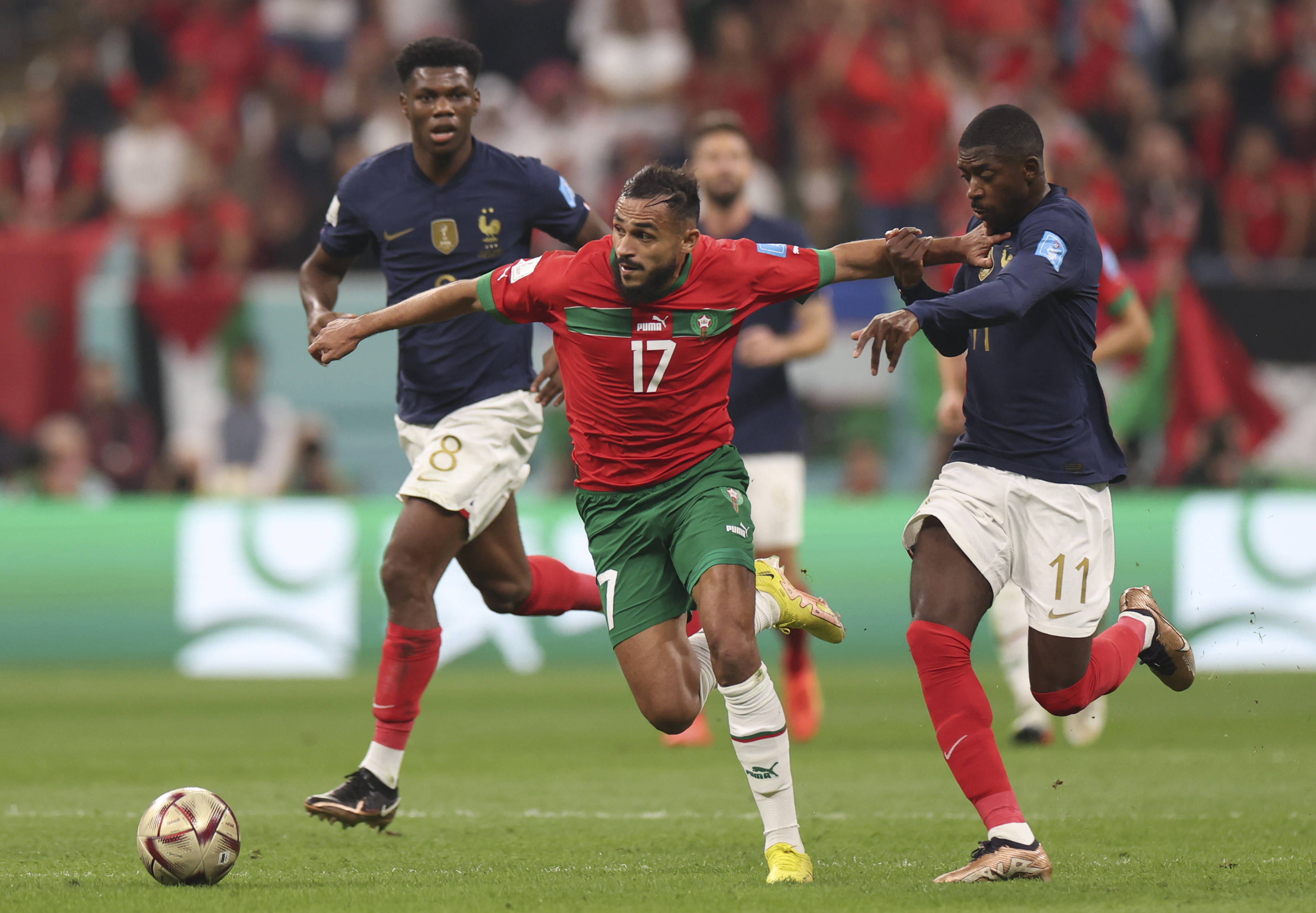 他们把直邀 他们把直邀