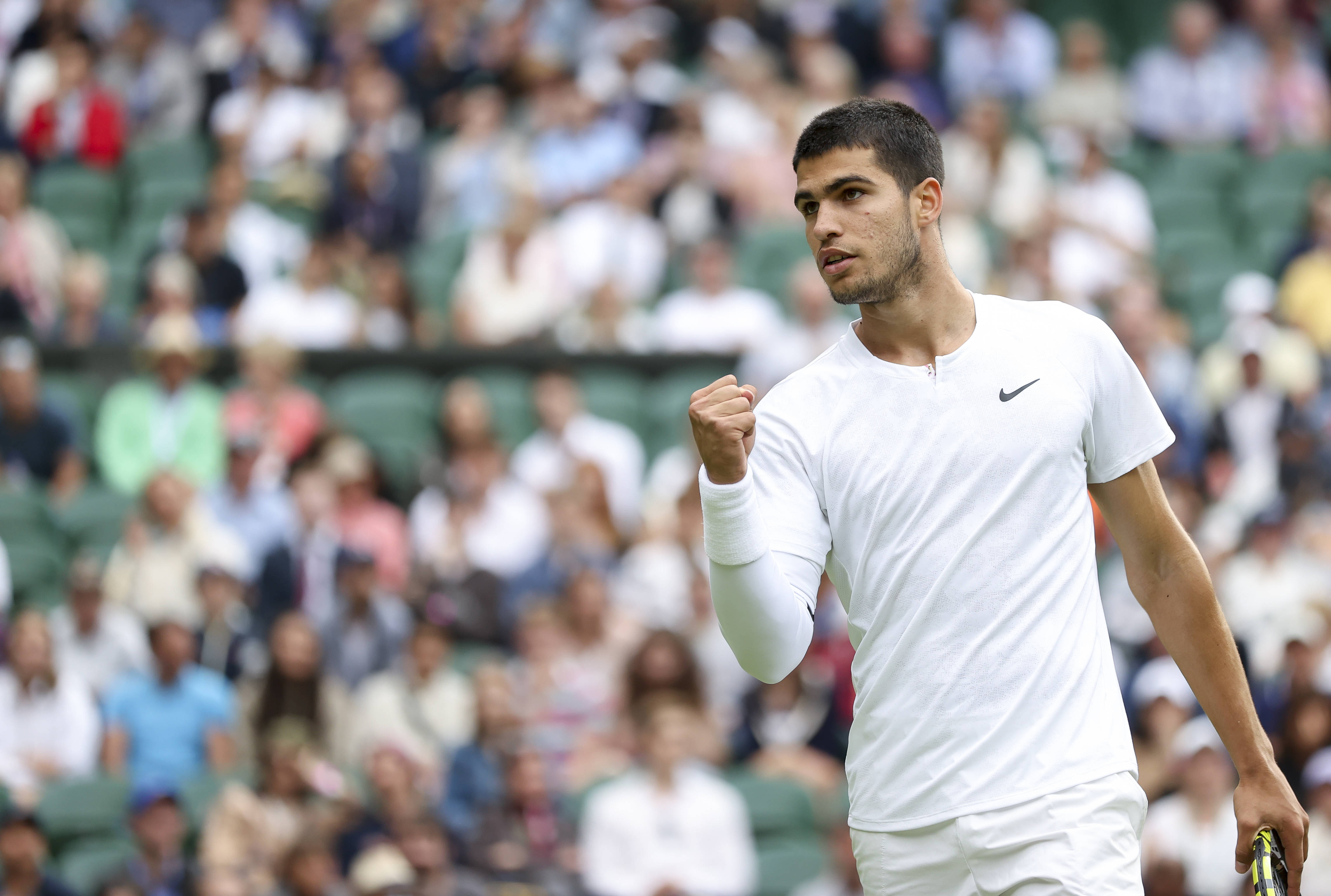 媒体由此自 媒体由此自